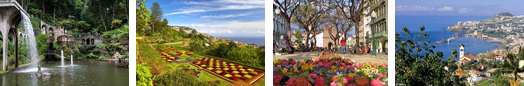  Incentive programmes and team building in Madeira Island